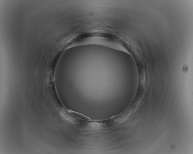 X0000094420233200711151327