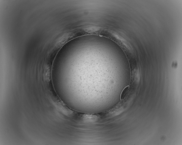 X0000094420234200711151327