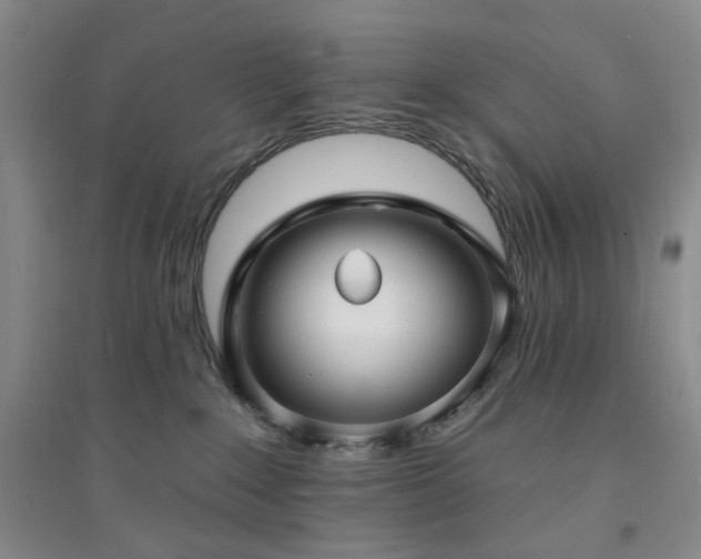 X0000094420235200711151327