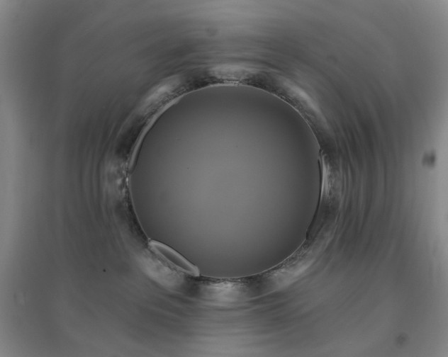 X0000094420237200711151327