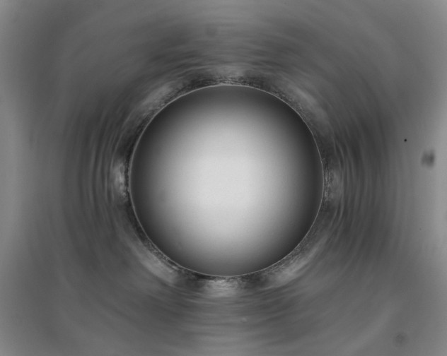 X0000094420238200711151327