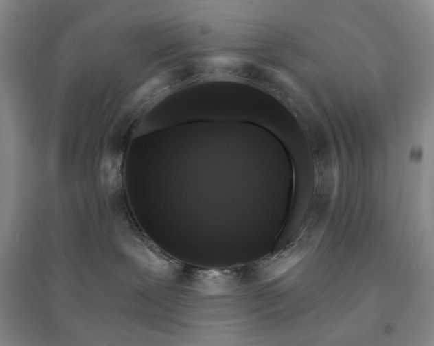 X0000094420239200711151327