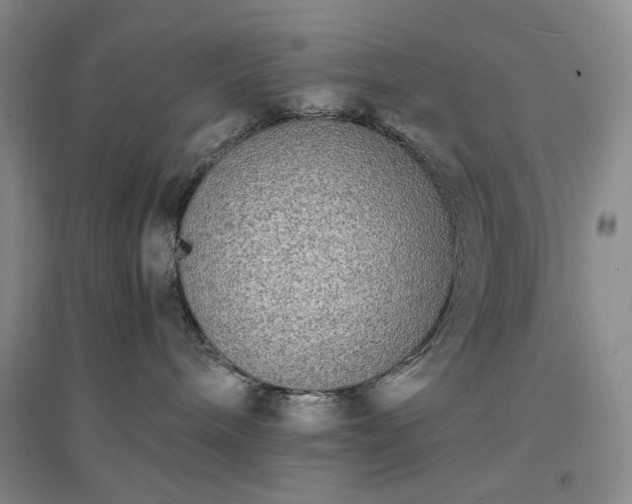 X0000094420240200711151327