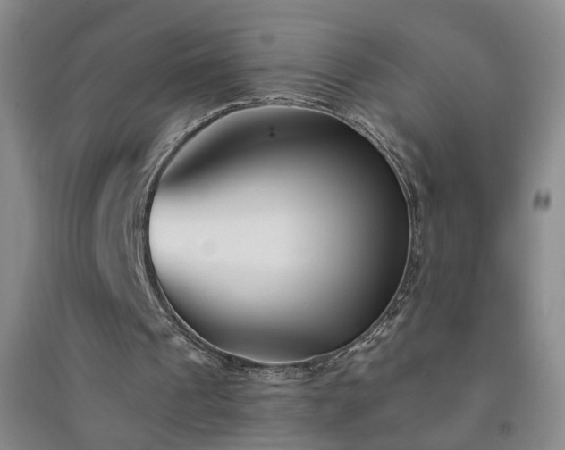 X0000094420241200711151326
