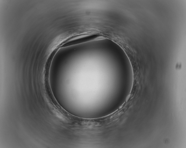 X0000094420242200711151326