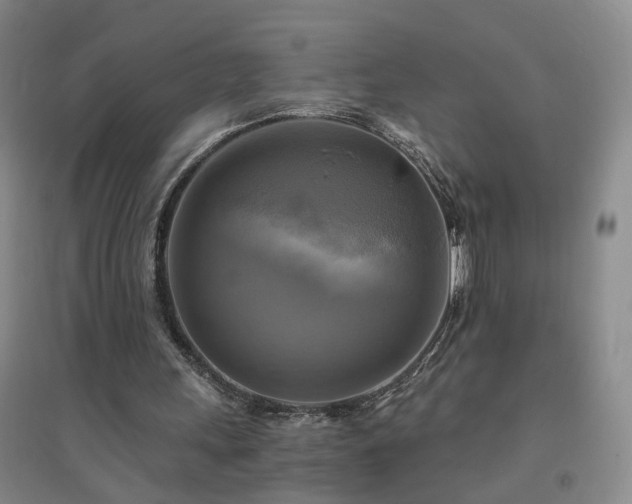 X0000094420243200711151326