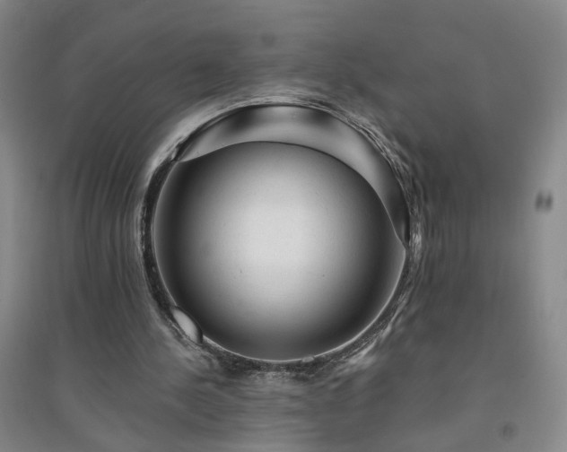 X0000094420244200711151326