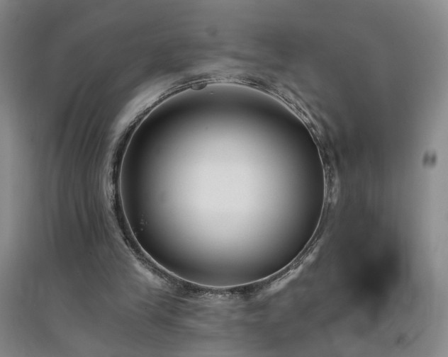 X0000094420245200711151326