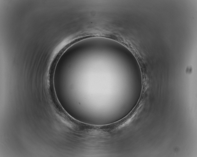X0000094420246200711151327