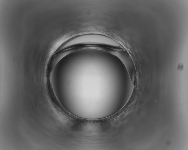 X0000094420248200711151327