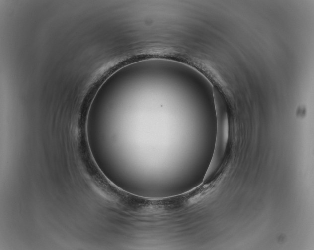 X0000094420252200711151327