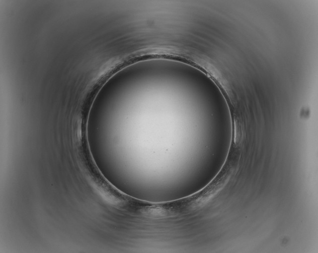 X0000094420253200711151327