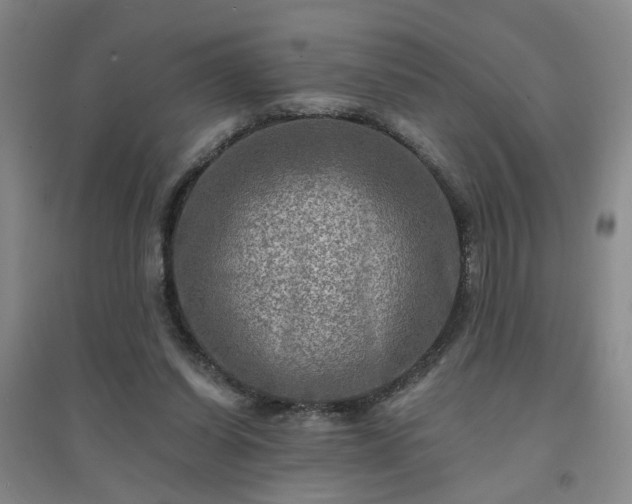 X0000094420254200711151327