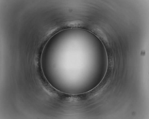 X0000094420255200711151327
