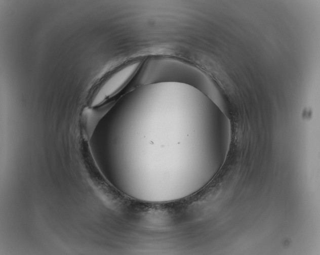 X0000094420256200711151327
