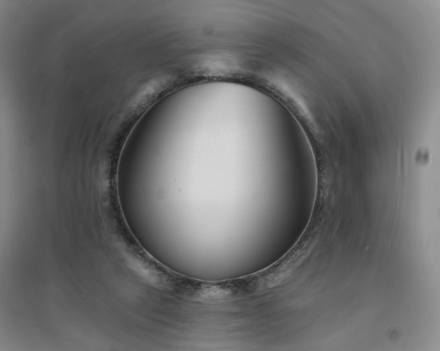 X0000094420257200711151327