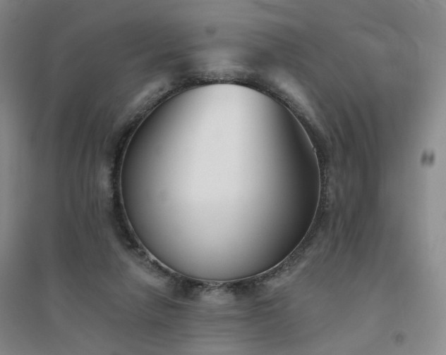 X0000094420258200711151327
