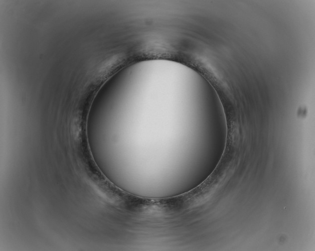 X0000094420259200711151327