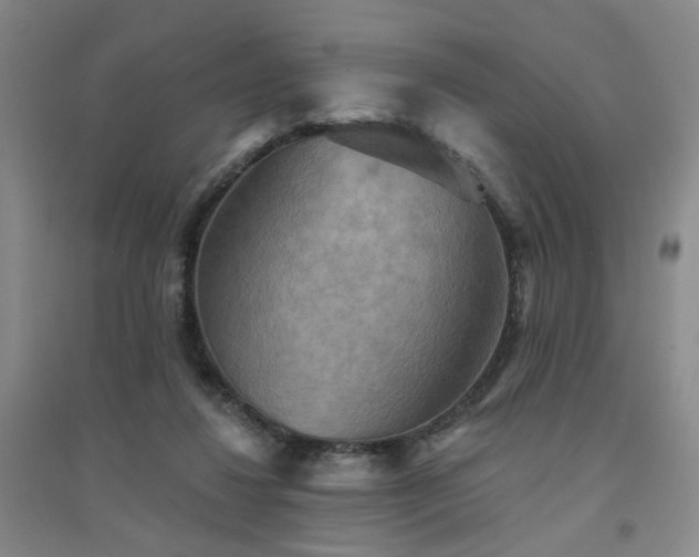 X0000094420260200711151327