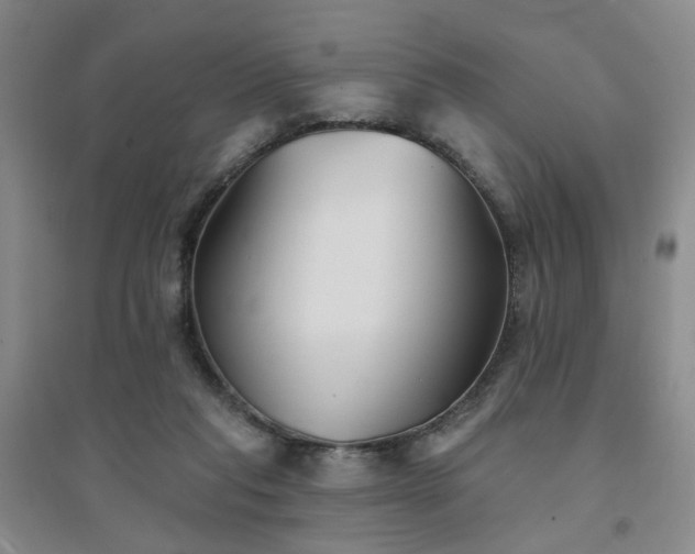 X0000094420261200711151327
