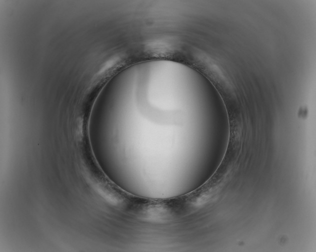X0000094420262200711151327