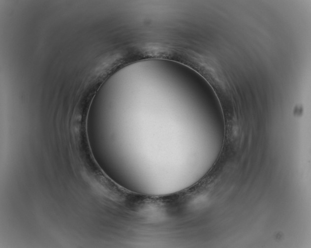 X0000094420263200711151327