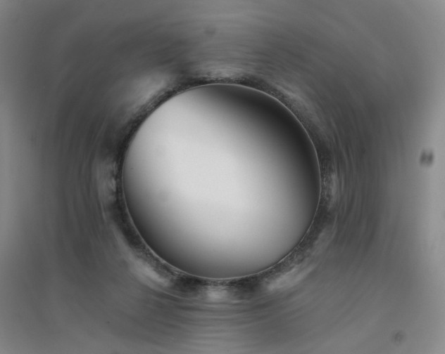 X0000094420264200711151327