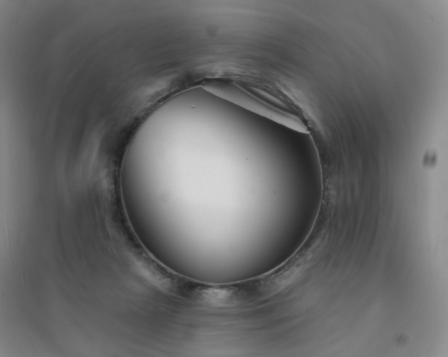 X0000094420265200711151327