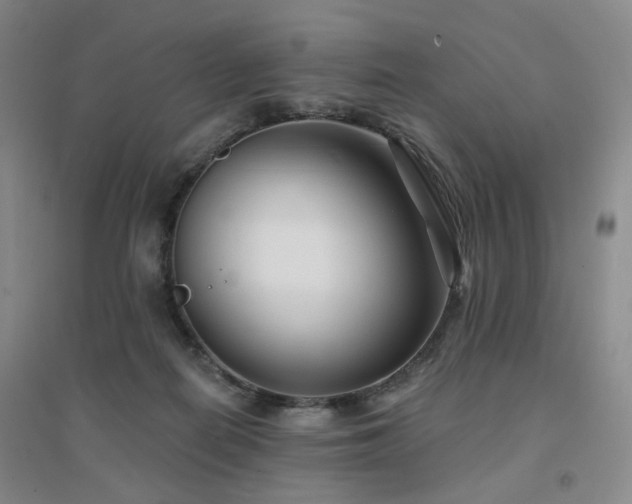 X0000094420266200711151327