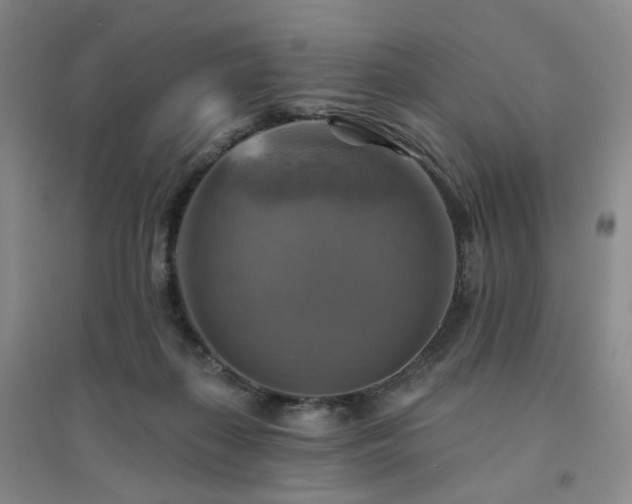 X0000094420267200711151327