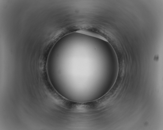 X0000094420268200711151327