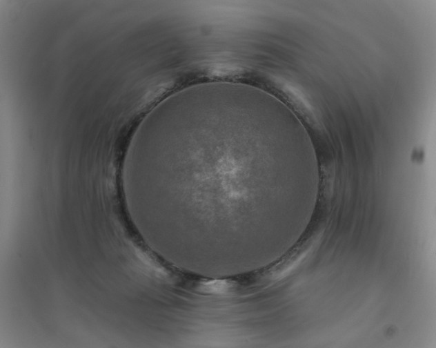 X0000094420269200711151327