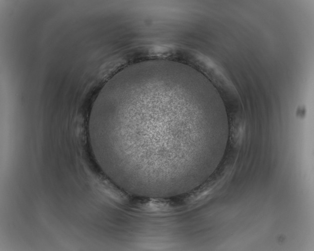 X0000094420270200711151327