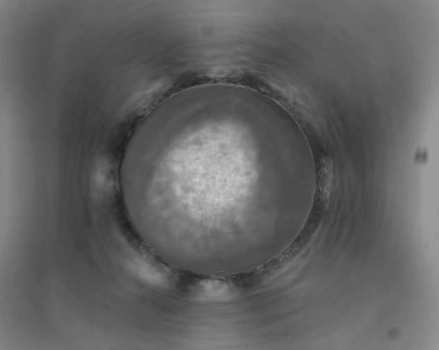 X0000094420272200711151327