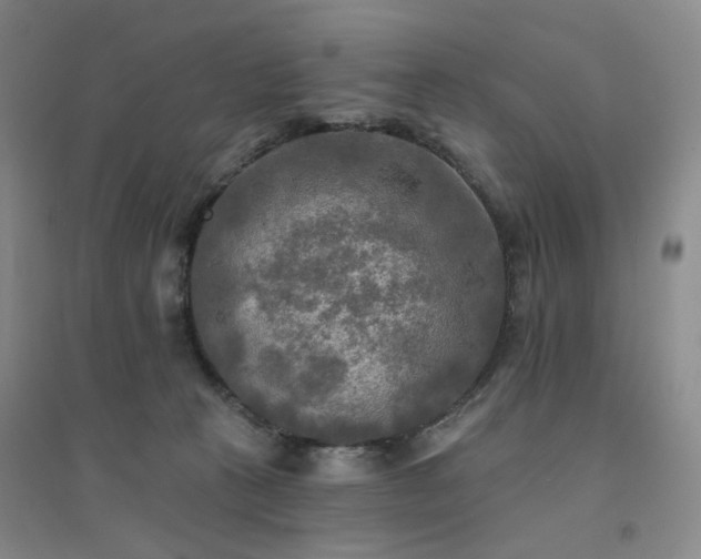 X0000094420273200711151327