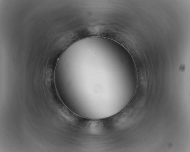 X0000094420275200711151327