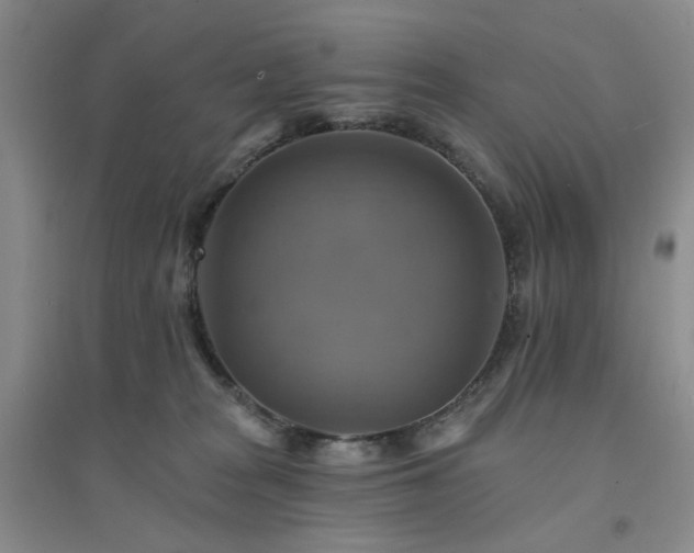 X0000094420277200711151327