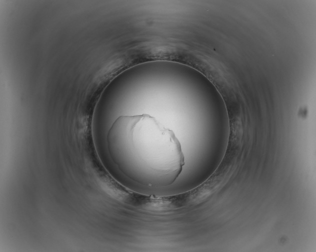 X0000094420278200711151327