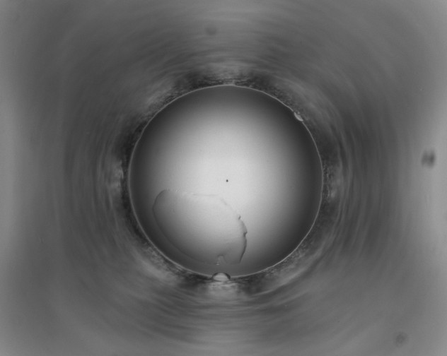 X0000094420279200711151327