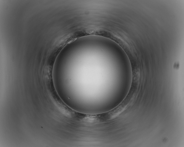 X0000094420280200711151327
