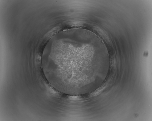X0000094420281200711151327