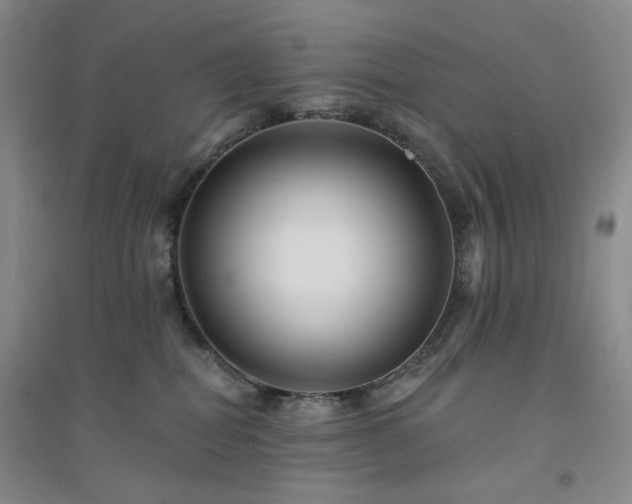 X0000094420282200711151327