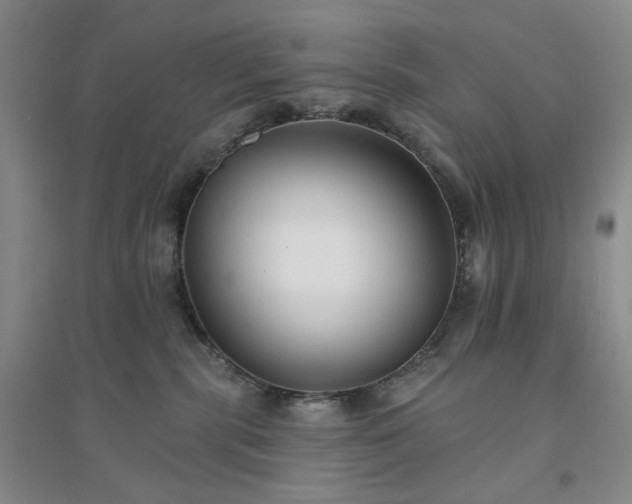 X0000094420283200711151327