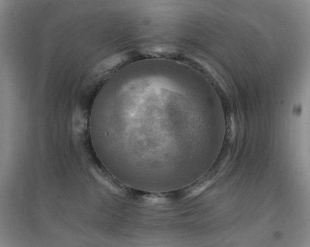 X0000094420284200711151327