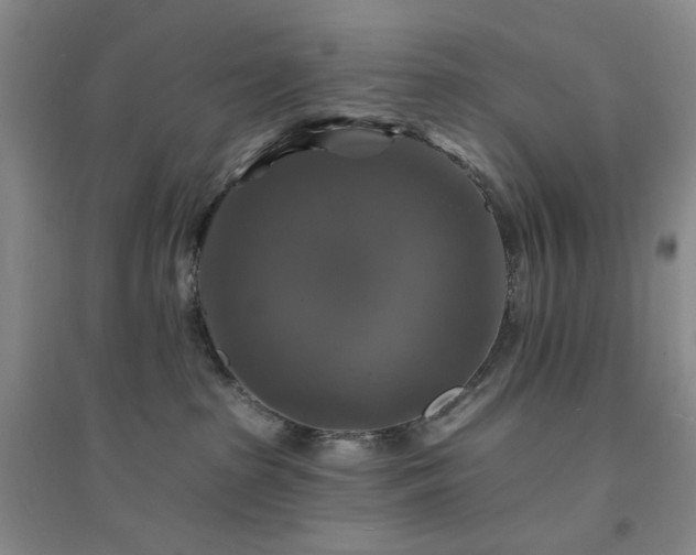 X0000094420285200711151327