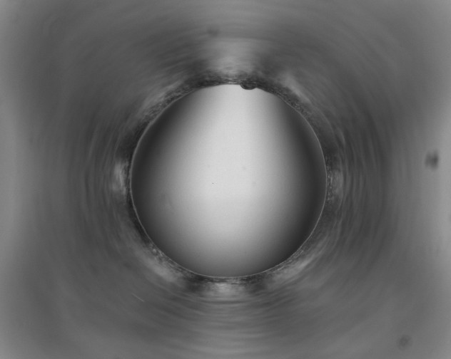 X0000094420286200711151327