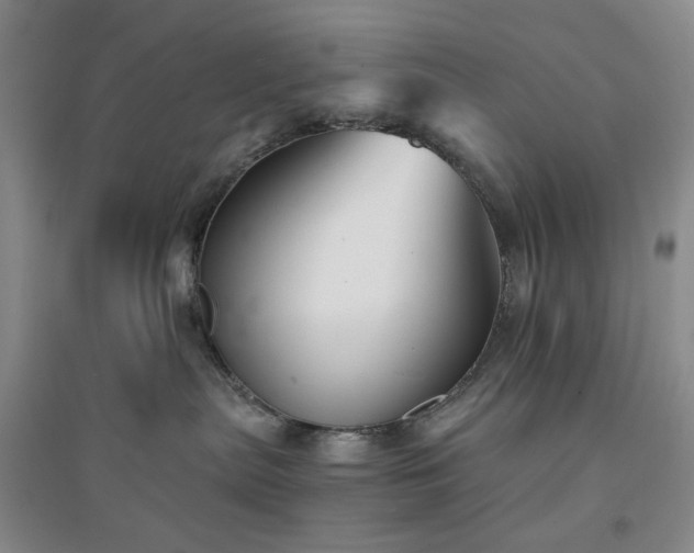 X0000094420287200711151327