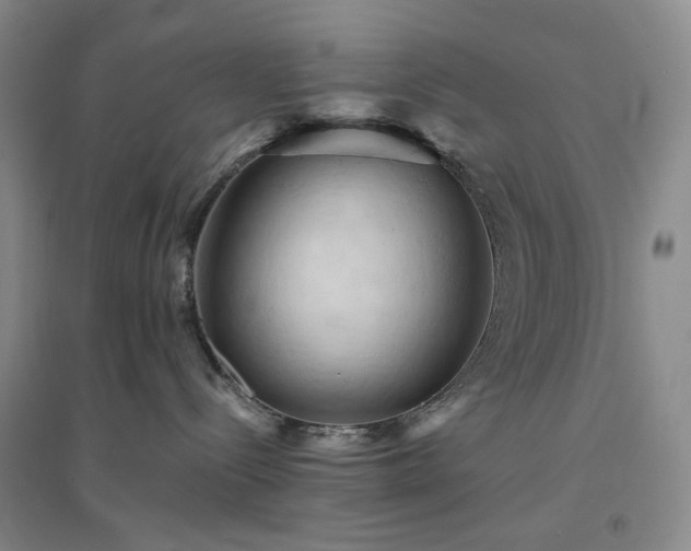 X0000094420288200711151327