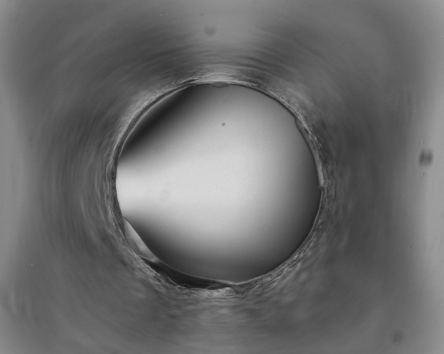 X0000094420289200711151326