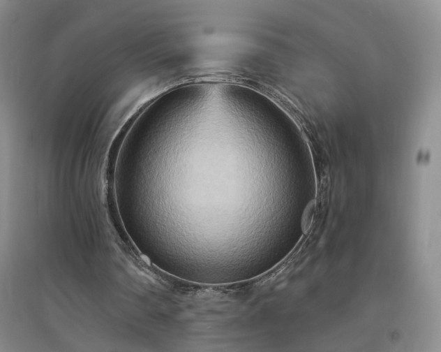X0000094420290200711151326